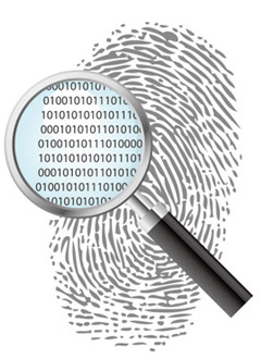 网站改版服务内容