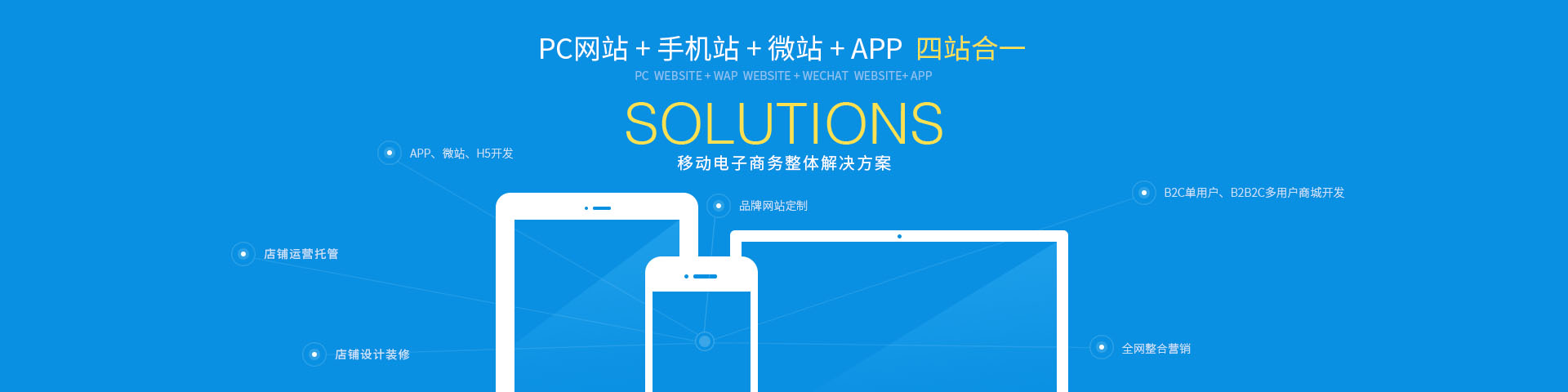 官方网站及平台开发服务